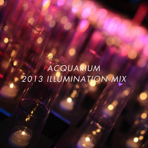 Acquarium 2013 Illumination Mix
